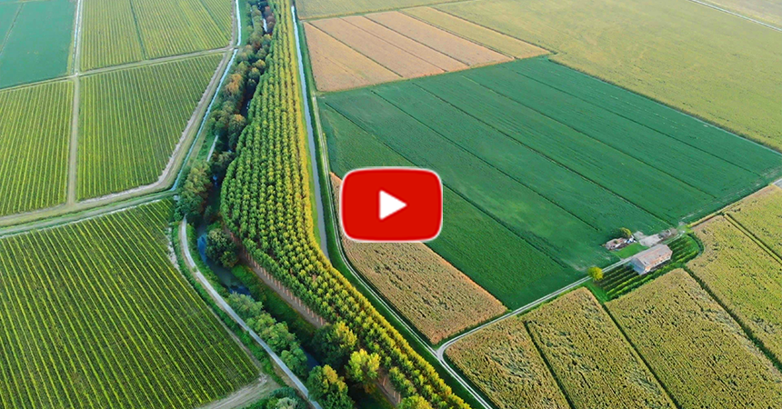 Neoliv Realty Faridabad