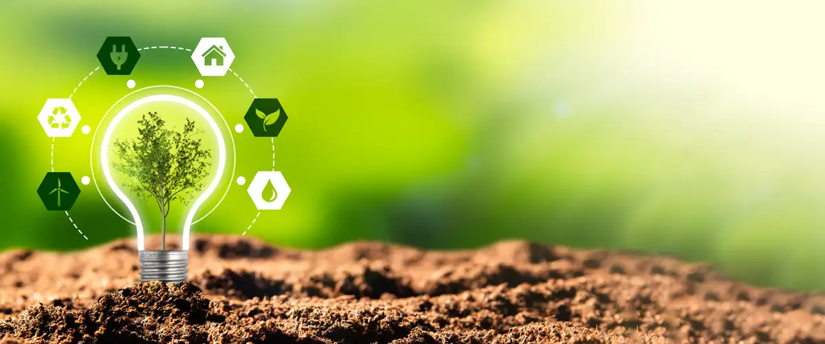 Neoliv Alibaug Neoliv Alibaug